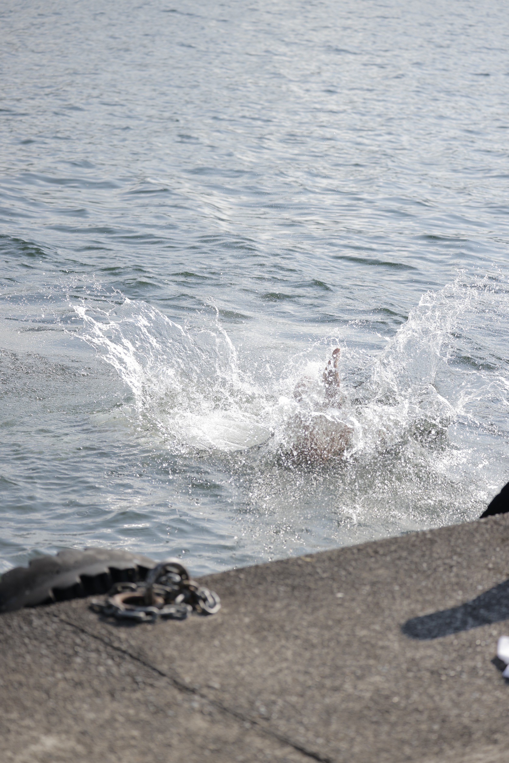 LINE_ALBUM_野尻湖合宿_240813_910