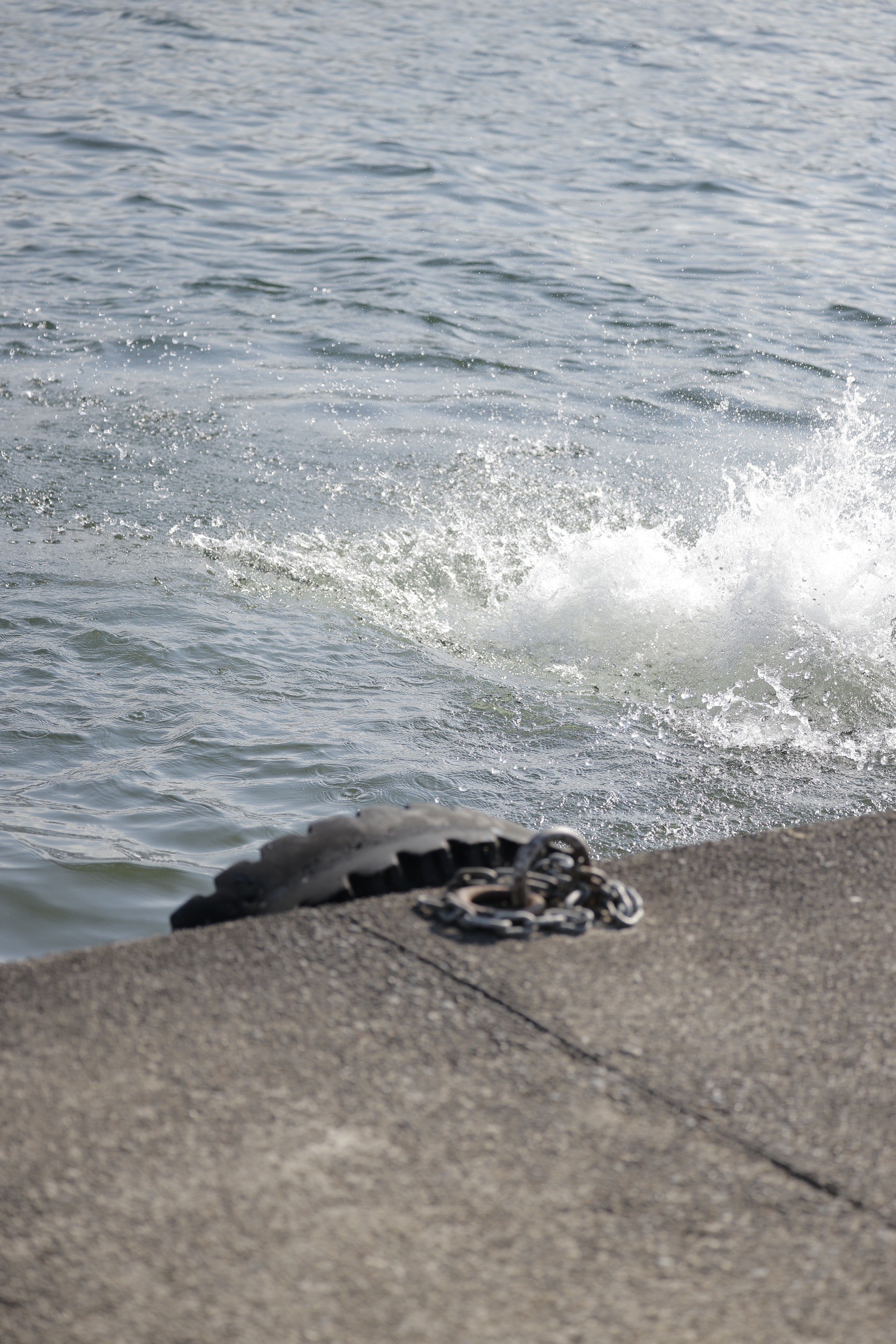 LINE_ALBUM_野尻湖合宿_240813_912