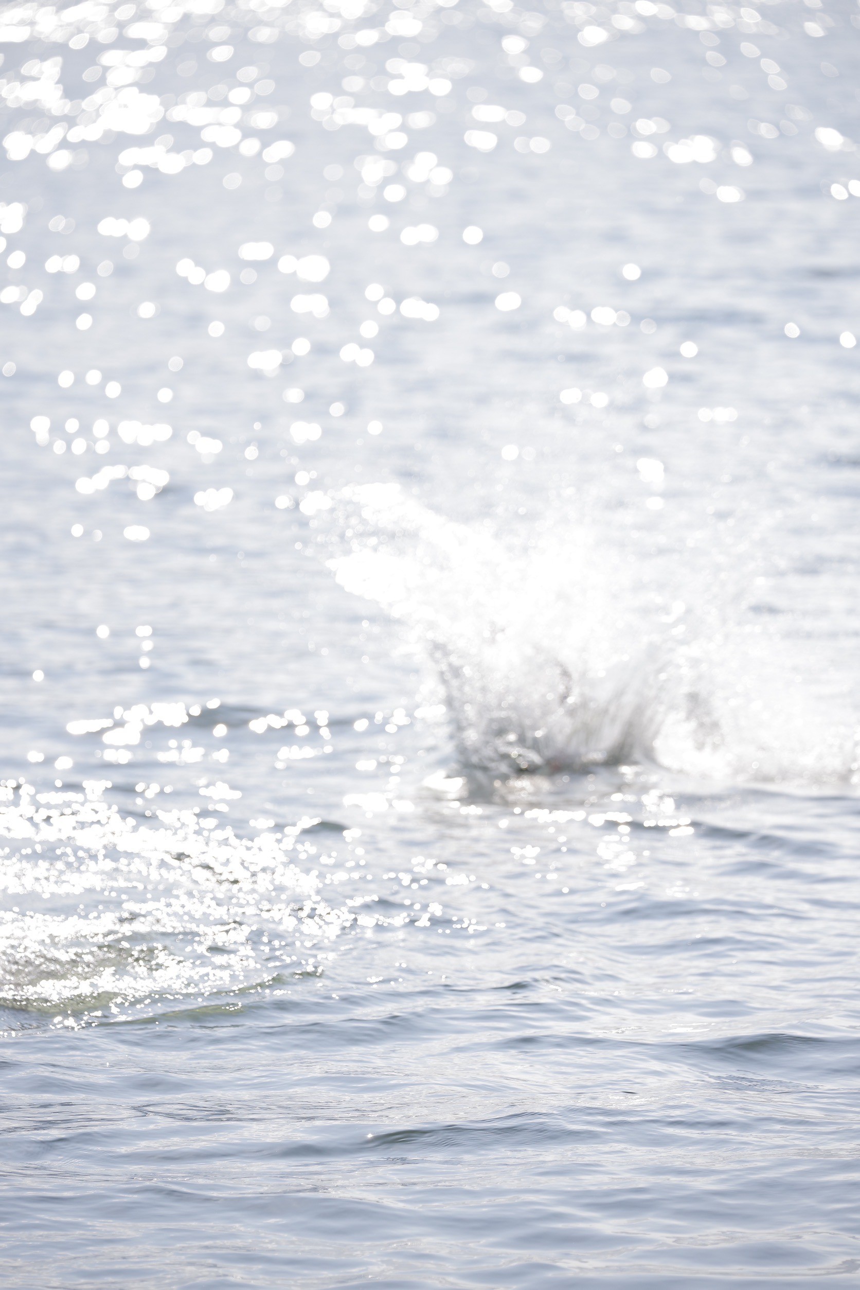 LINE_ALBUM_野尻湖合宿_240813_934
