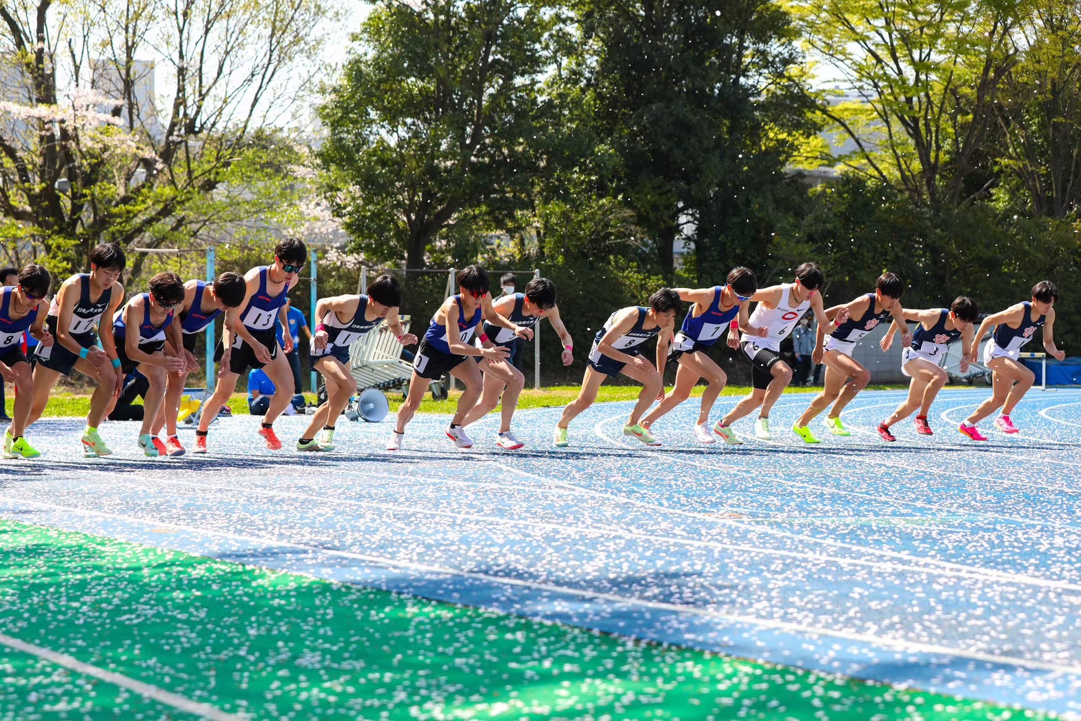 日体大記録会