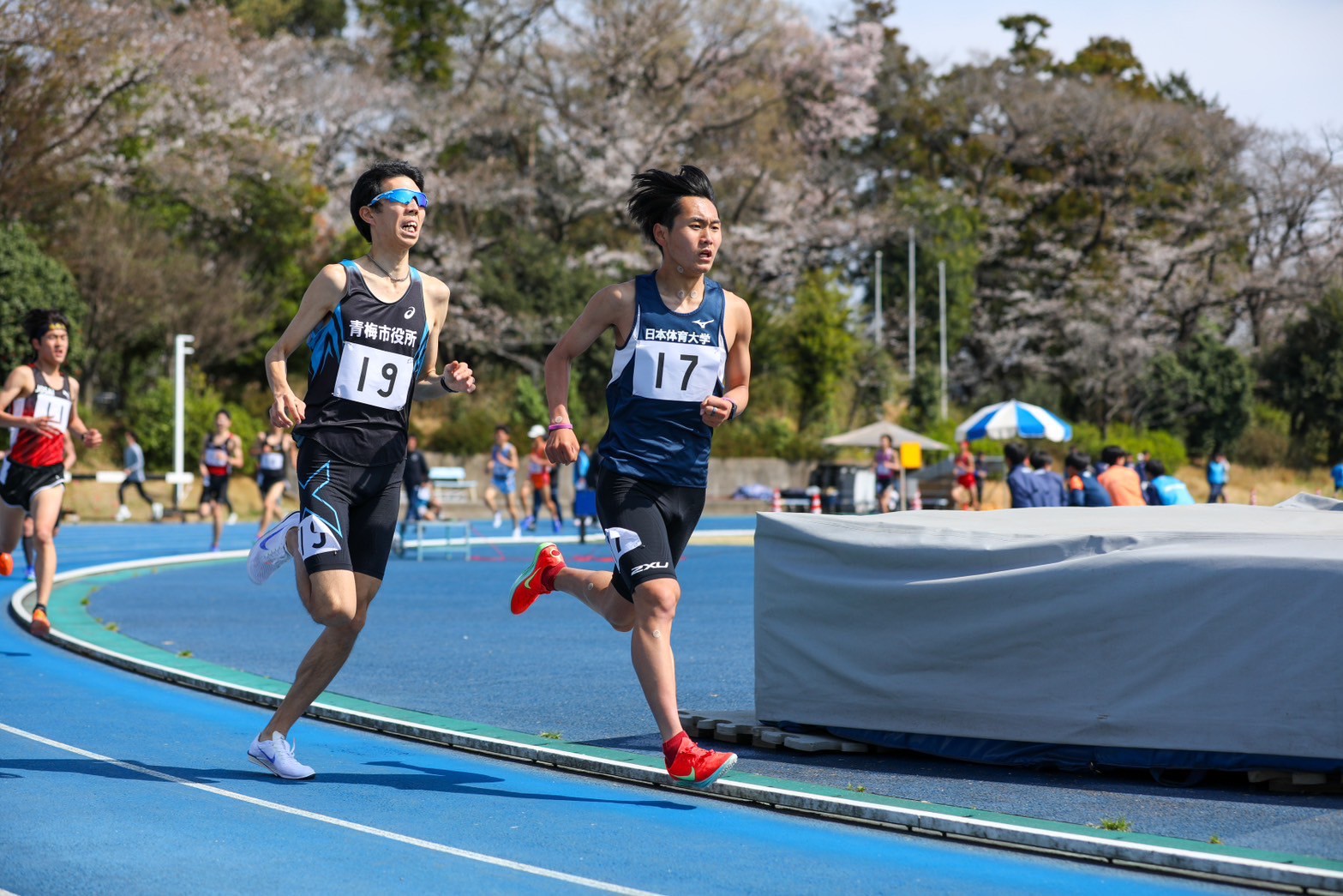 319nittai13
