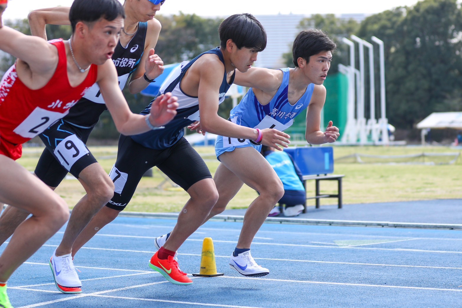 319nittai137