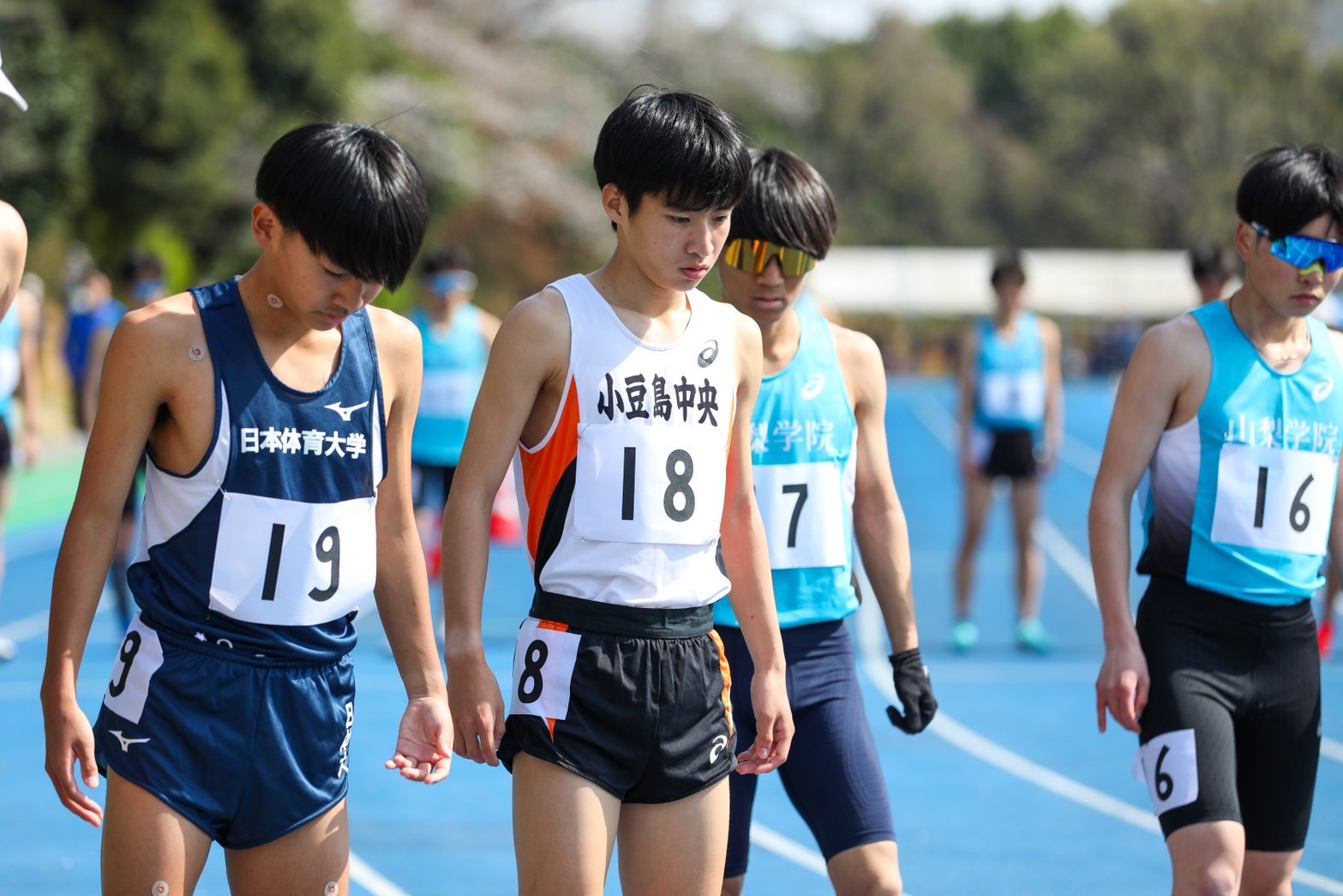 319nittai141