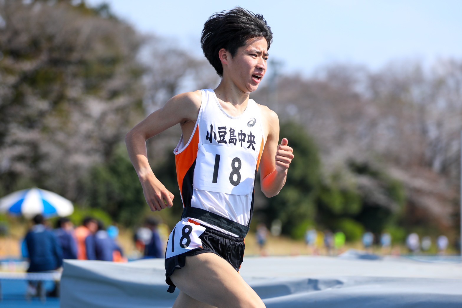 319nittai145