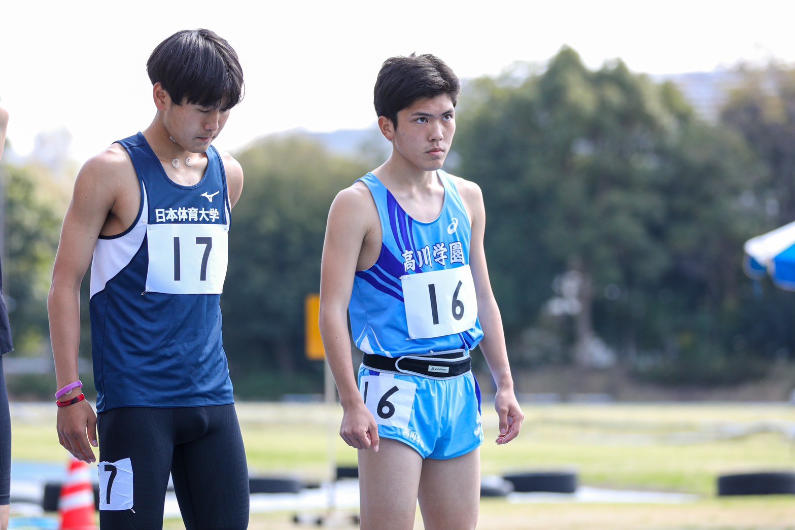 319nittai159