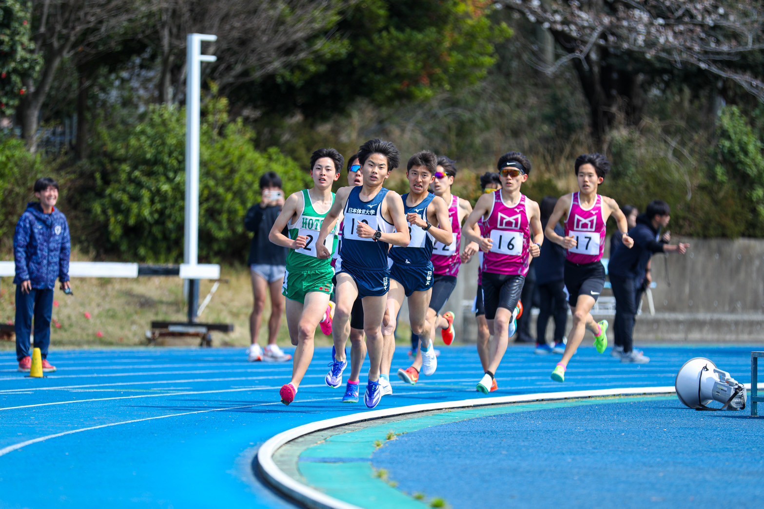 319nittai165