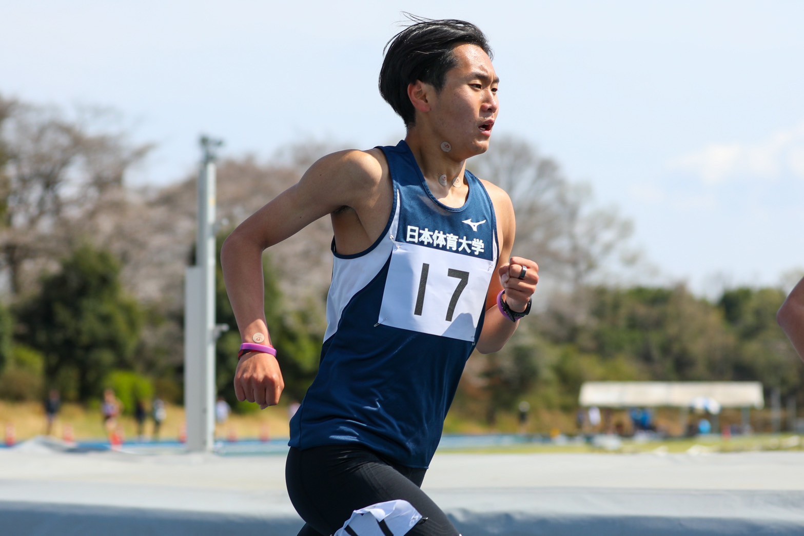 319nittai177