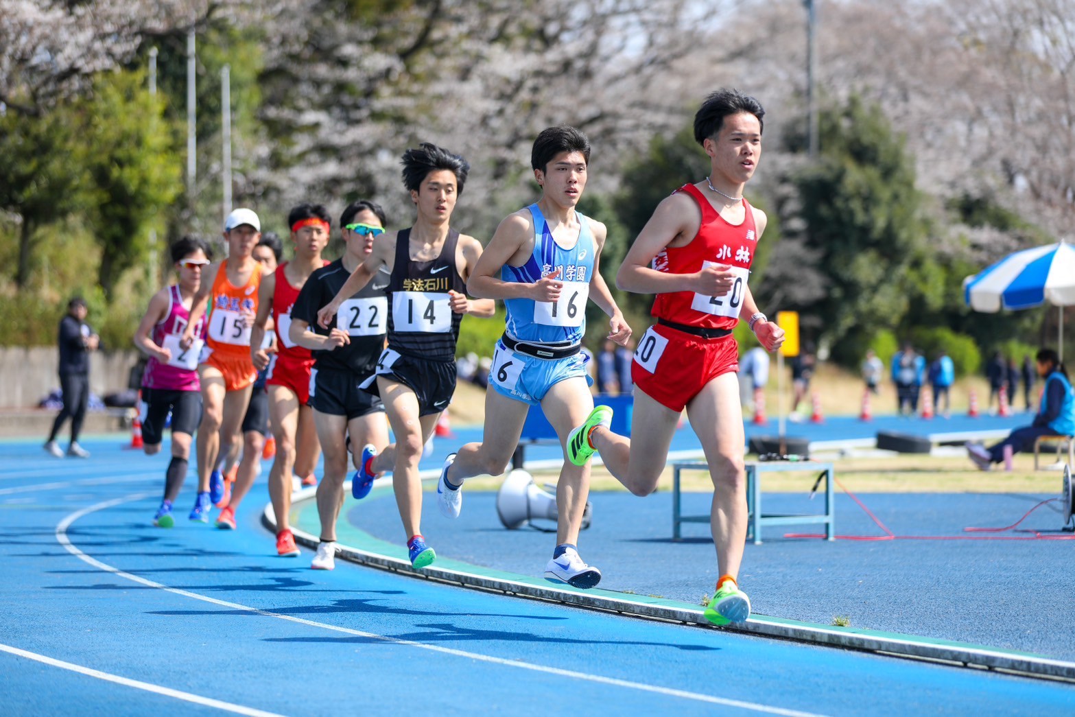 319nittai197