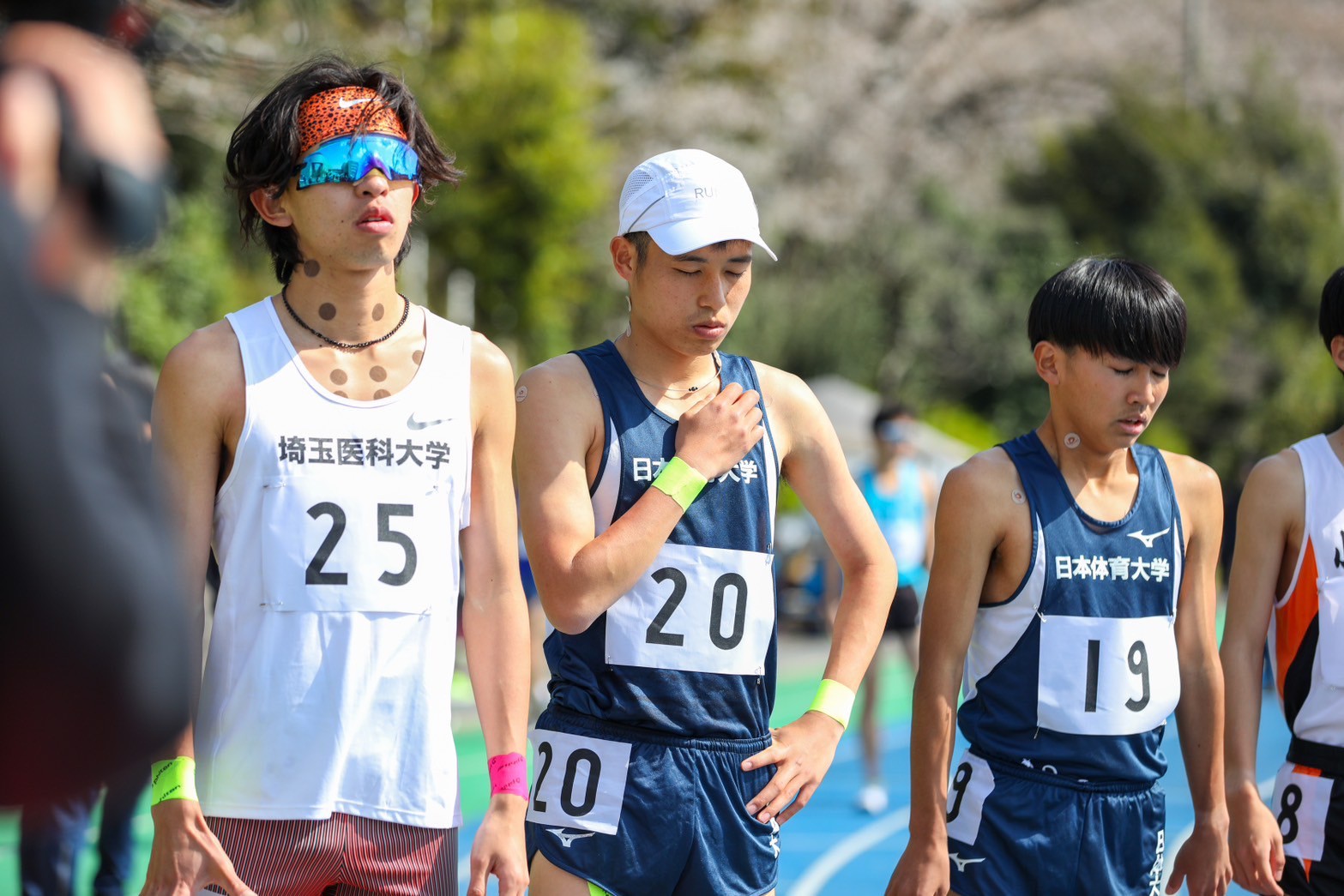 319nittai33