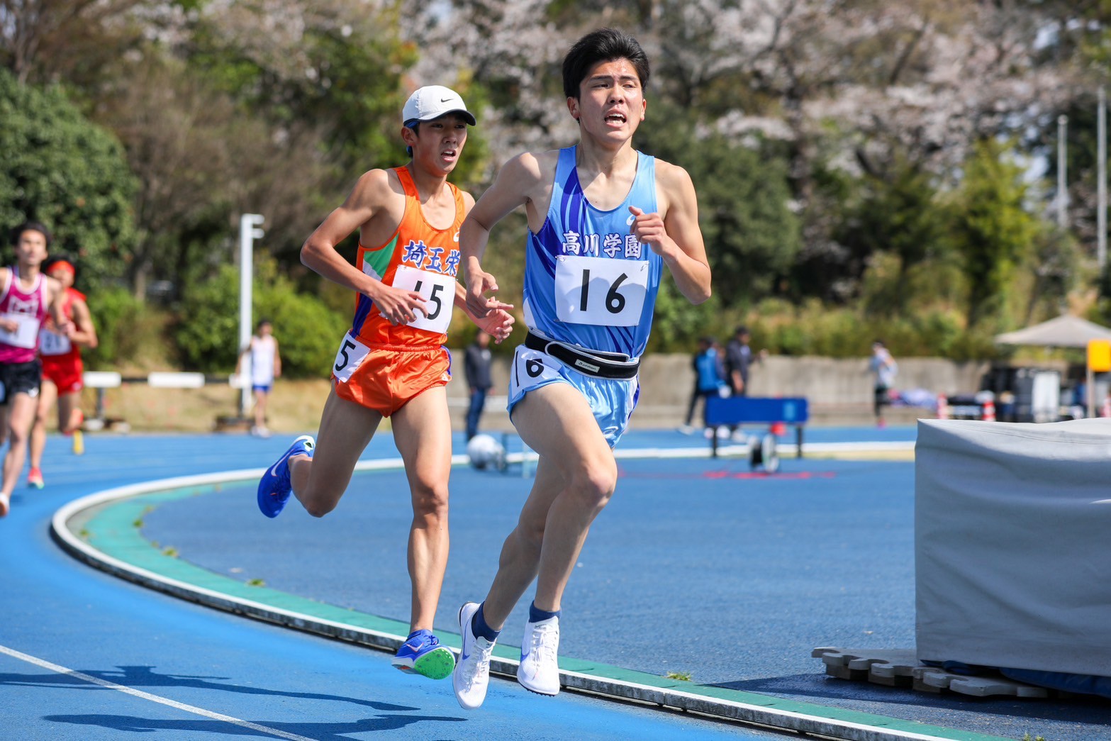 319nittai52