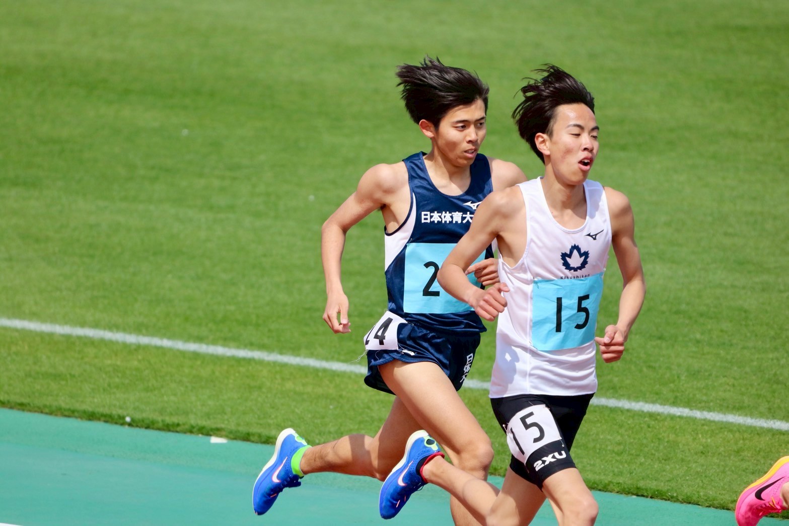 2025 yondai19