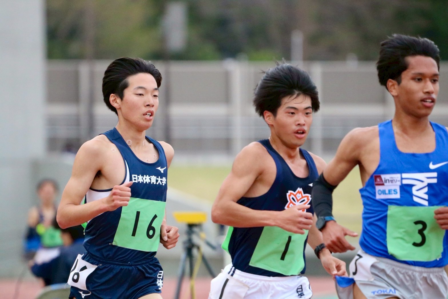 2025 yondai2