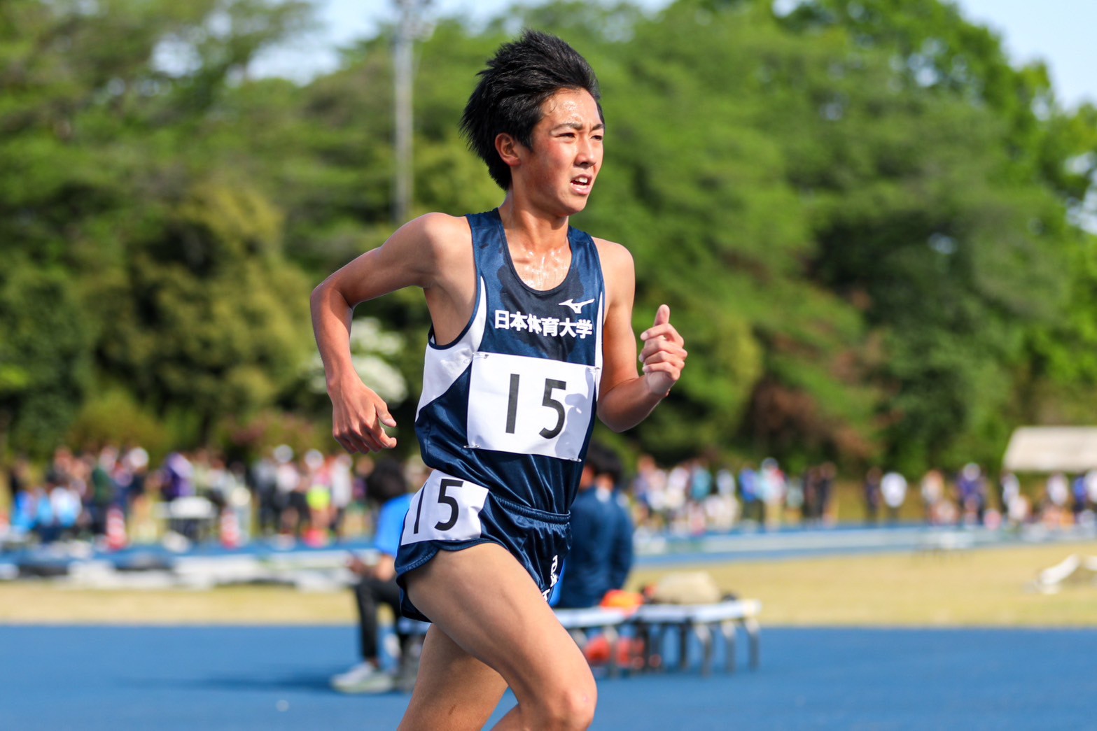 320nittai133