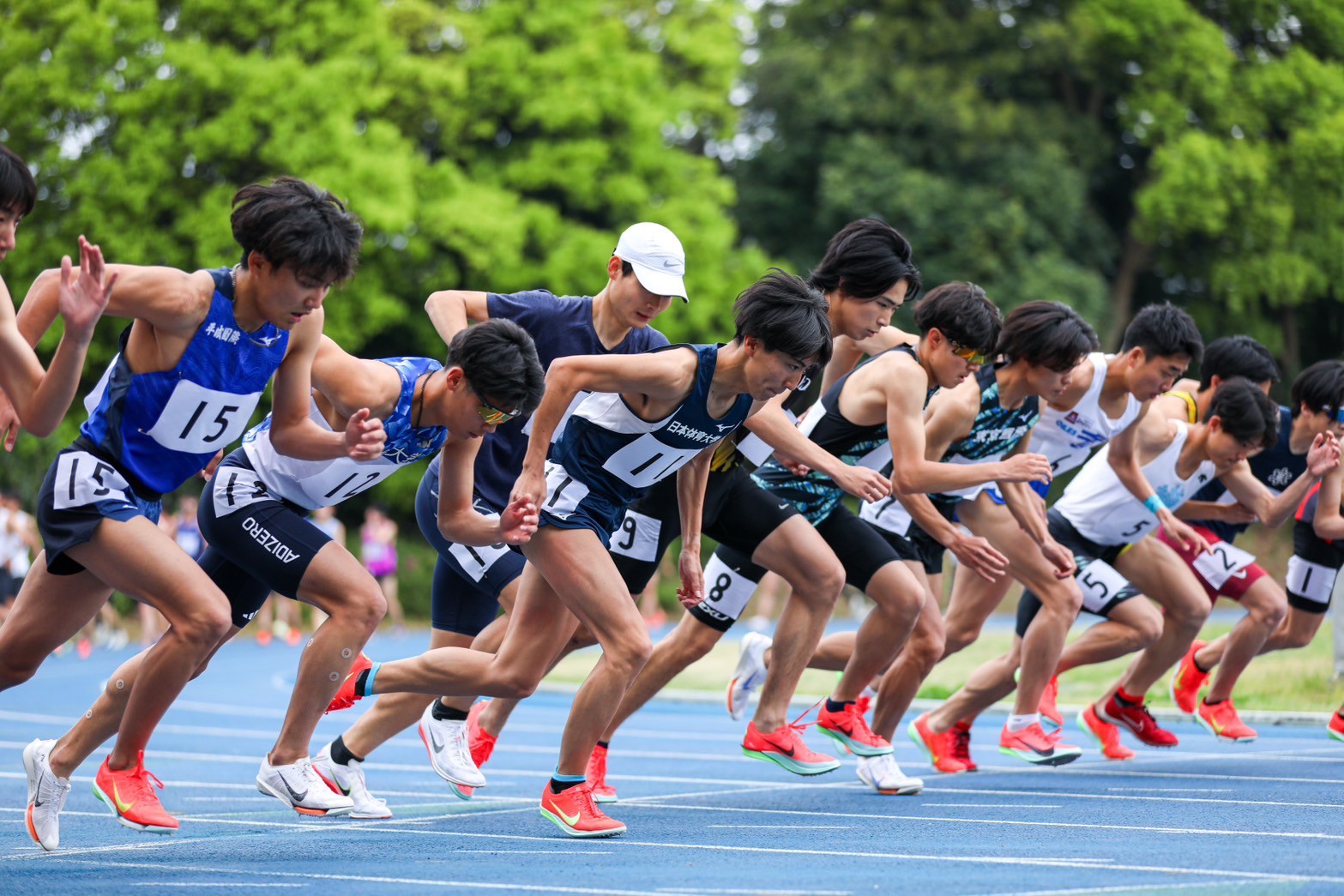 320nittai144