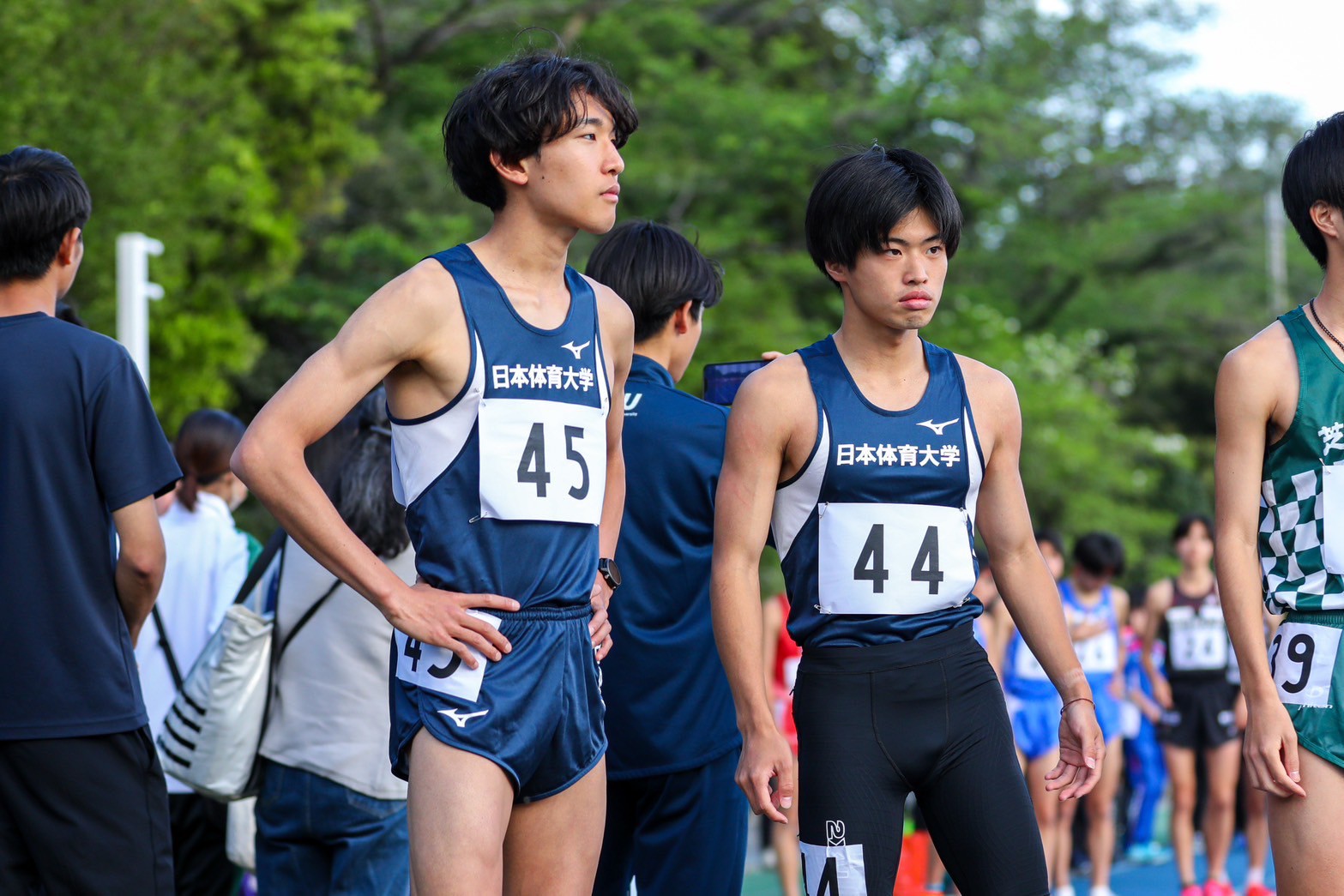 320nittai181