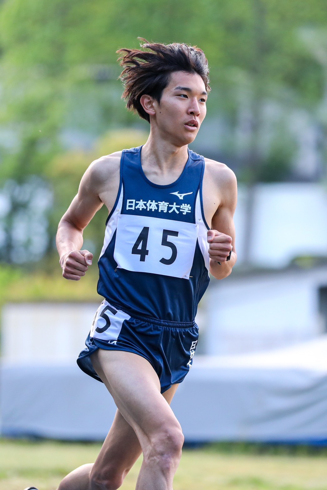 320nittai215
