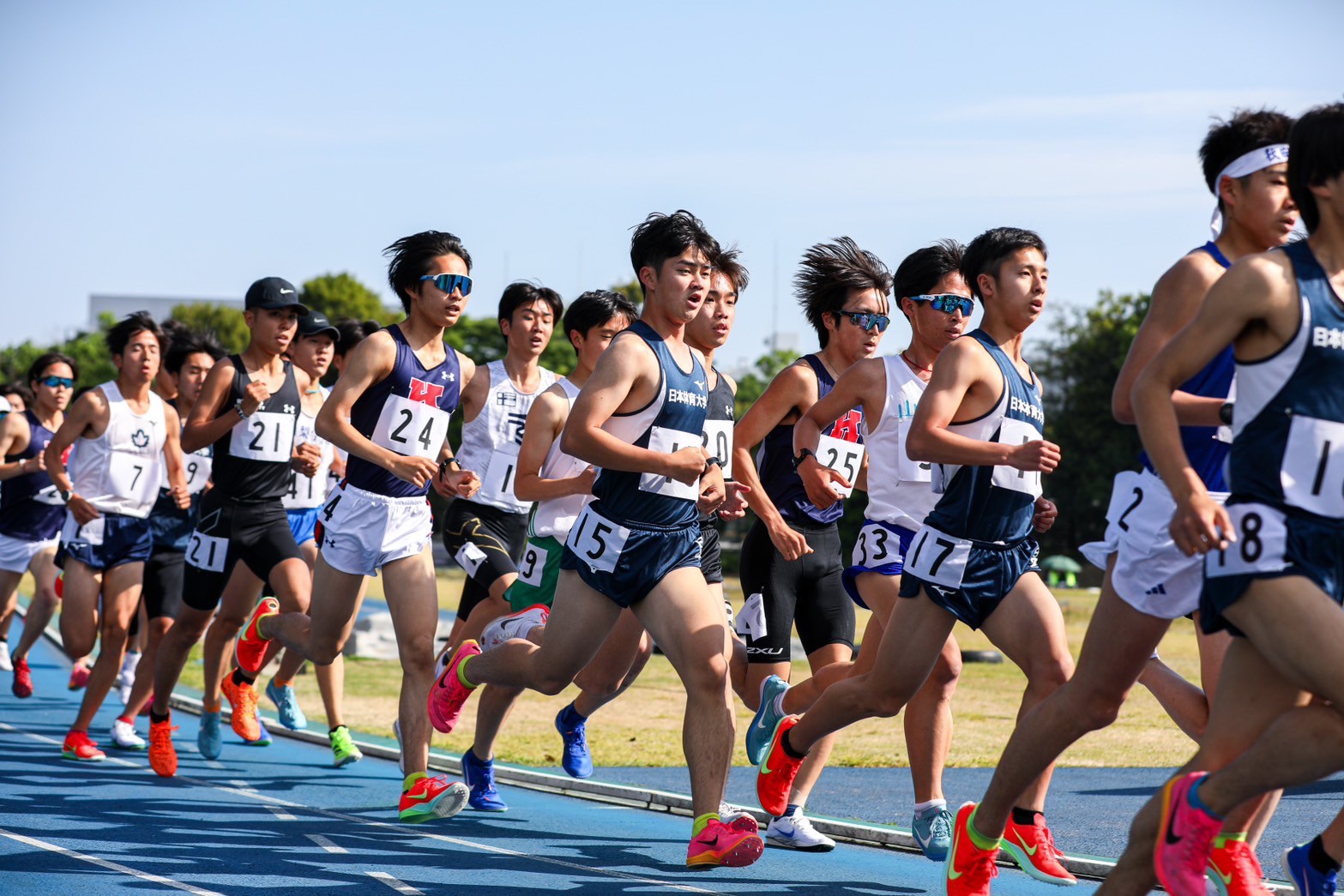 320nittai216