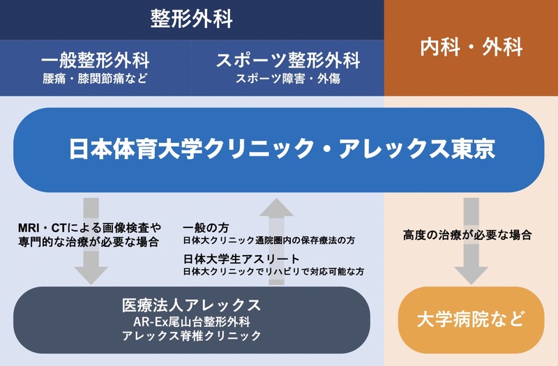 日体大クリニック・アレックス東京