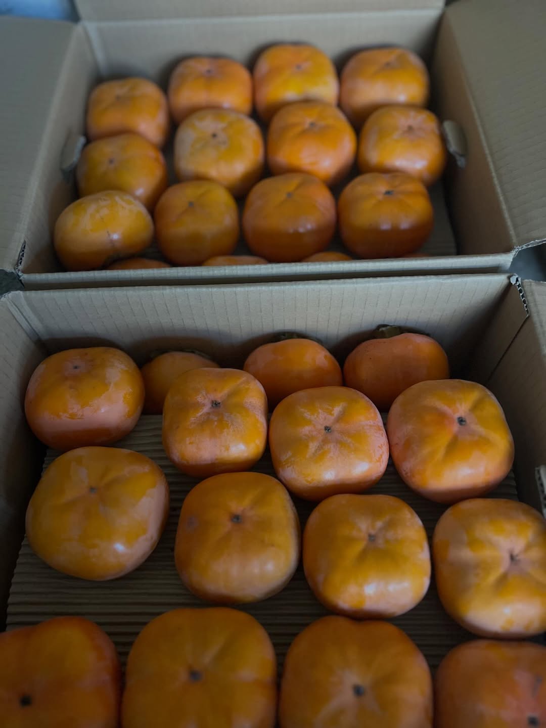 差し入れ写真 3